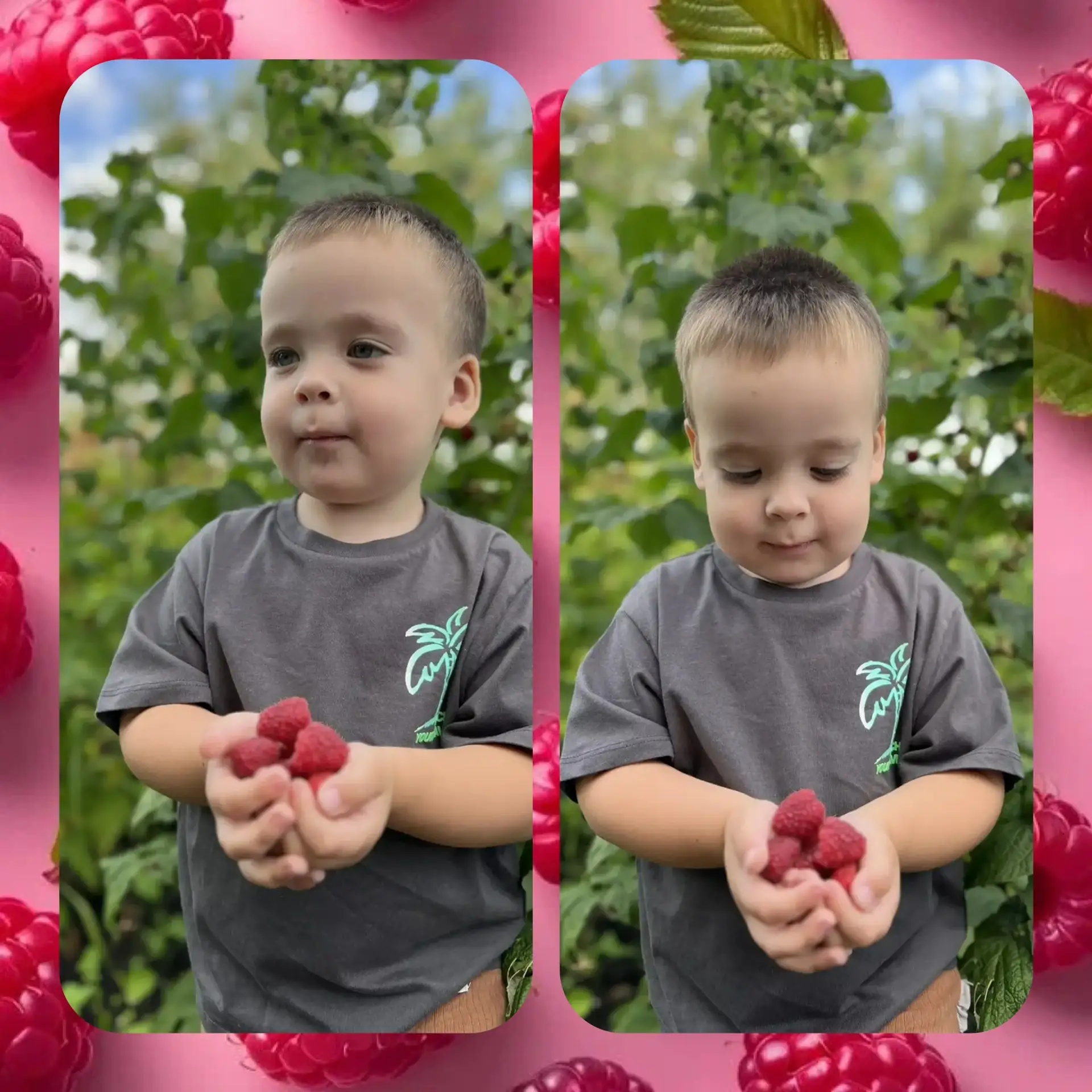 🍓 День малинового варенья — самый сладкий день августа! 🍯