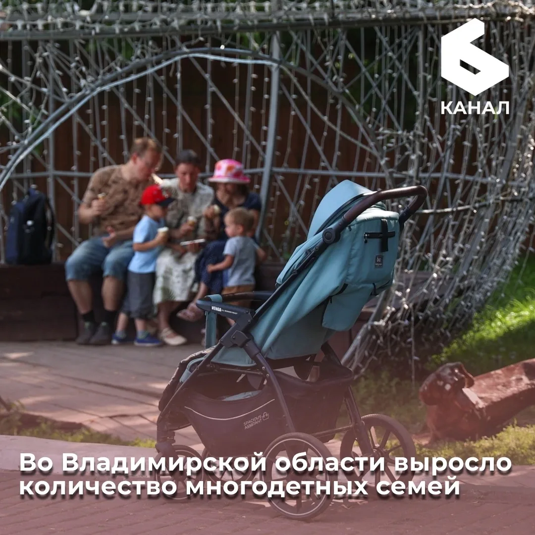 Во Владимирской области выросло количество многодетных семей