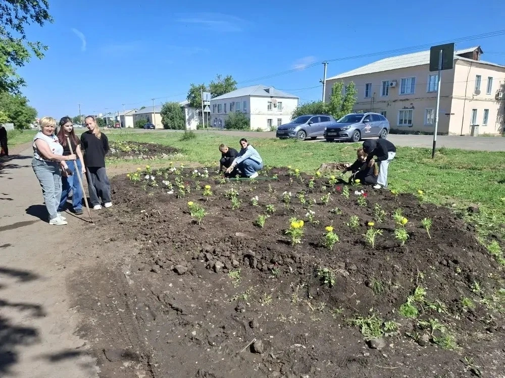 Волонтеры «Город 112» – наши герои в деле благоустройства! 🌳🌸
Наши неутомимые помощники с энтузиаз