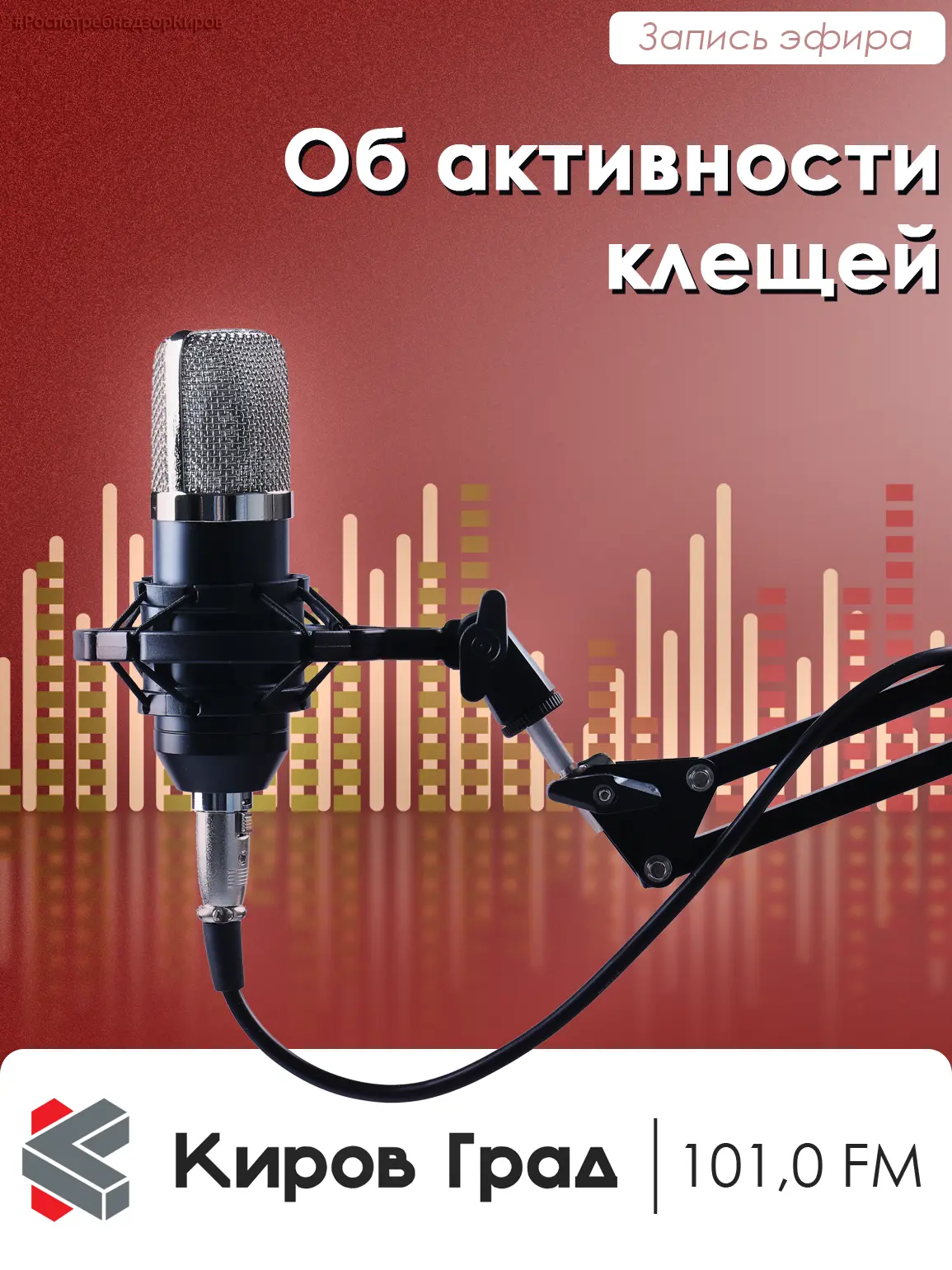 📻 Как защититься от клещей осенью?