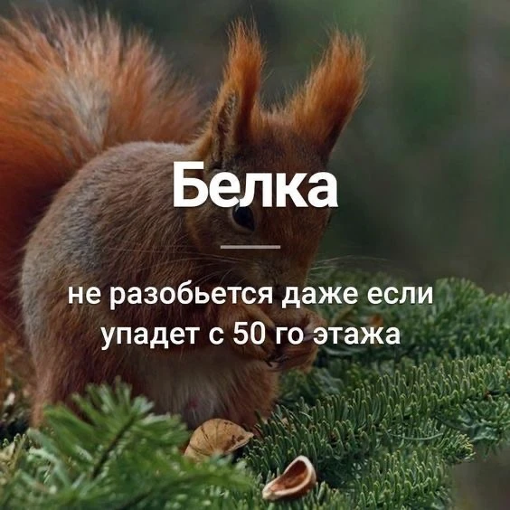 Признавайтесь, знали?