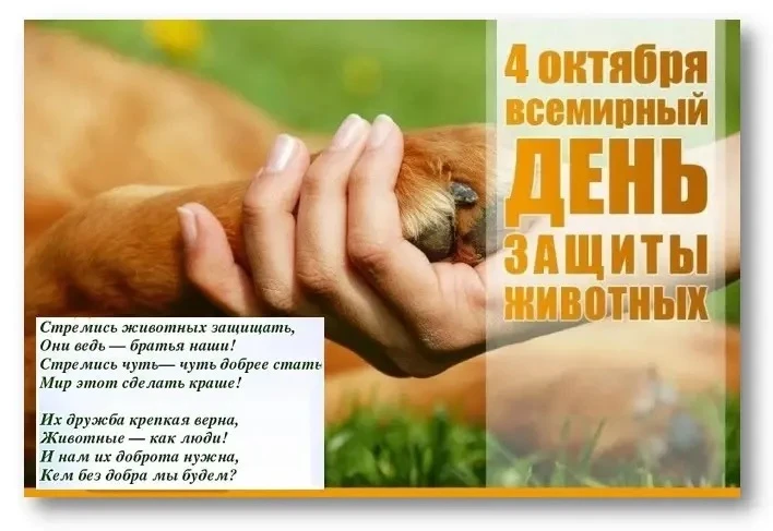 📆 День в истории