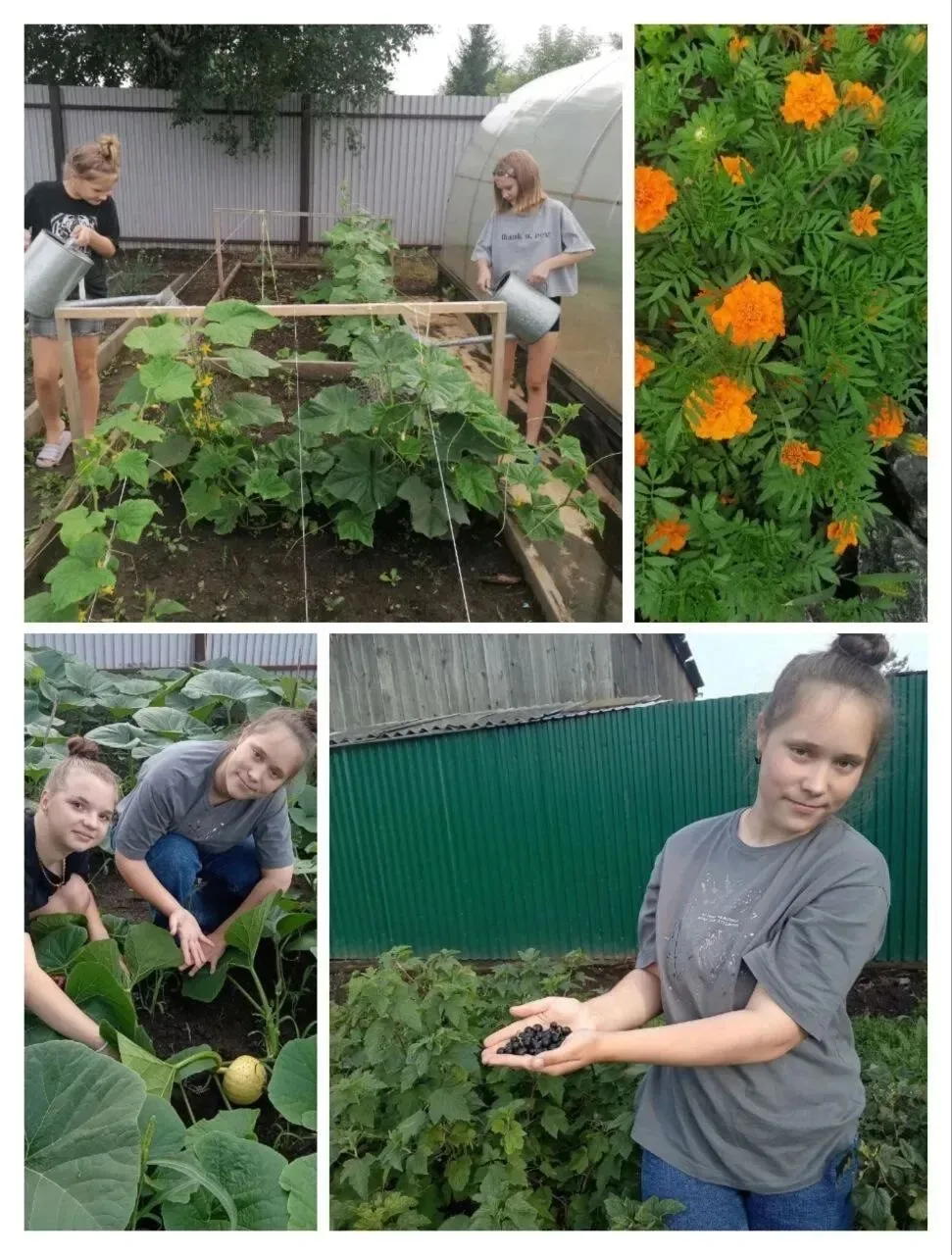 #ЦСПСиДТайшет 
#отрядминистра 
#как на грядках растет счастье»

Детство пахнет не только ванилью, но
