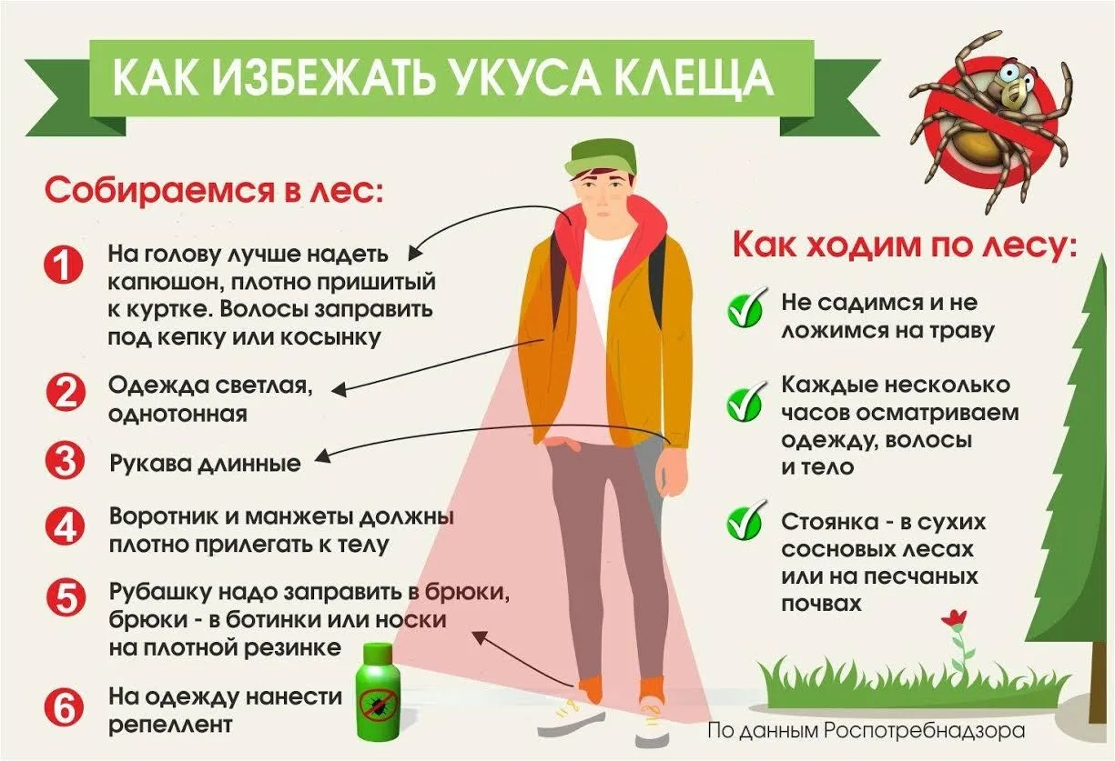 Внимание ‼️