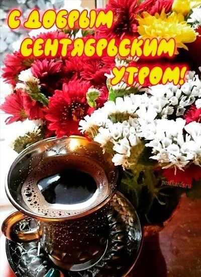 Доброе утро. Пусть этот день будет наполнен лишь яркими эмоциями. Бодрого вам  настроен...