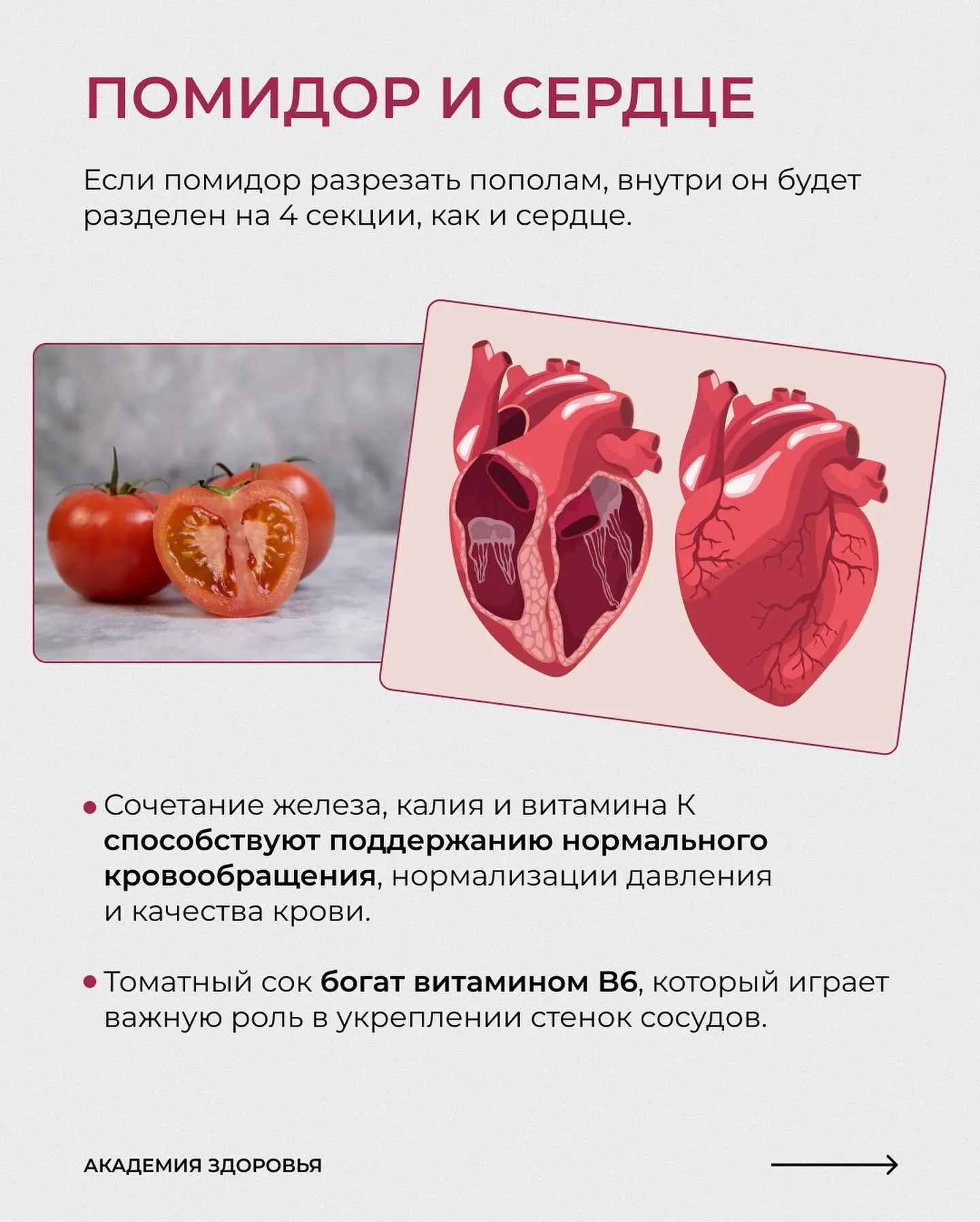 ЭТИ ПРОДУКТЫ ТОЧНО ДОЛЖНЫ БЫТЬ В ВАШЕМ РАЦИОНЕ  Все потому что они имеют особый эффект на наши орган