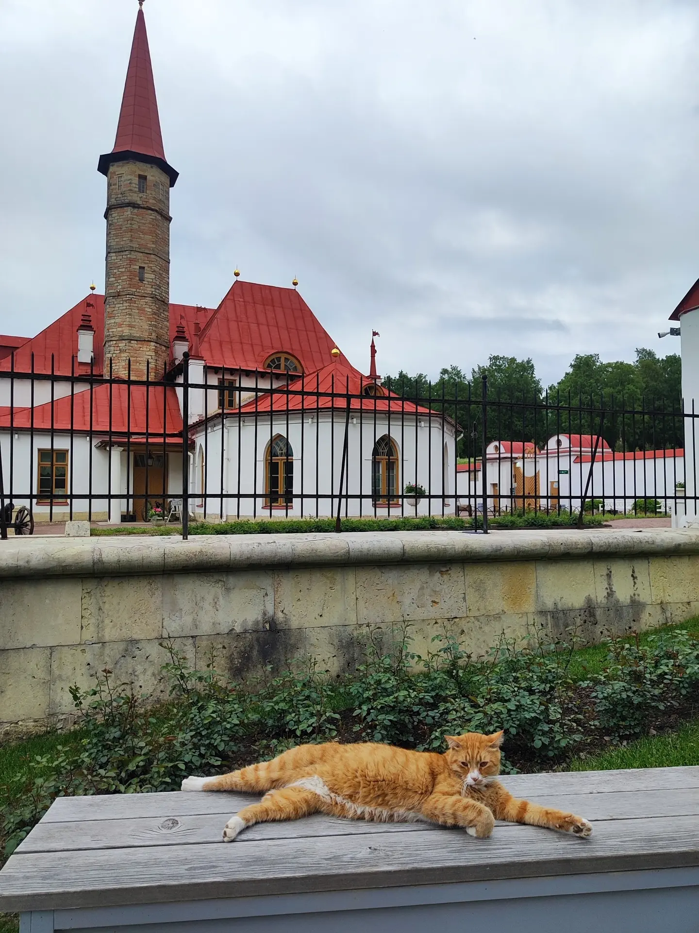 Хранитель Приоратского дворца кот Ричард в объективе Танюши Прокопович 🐈