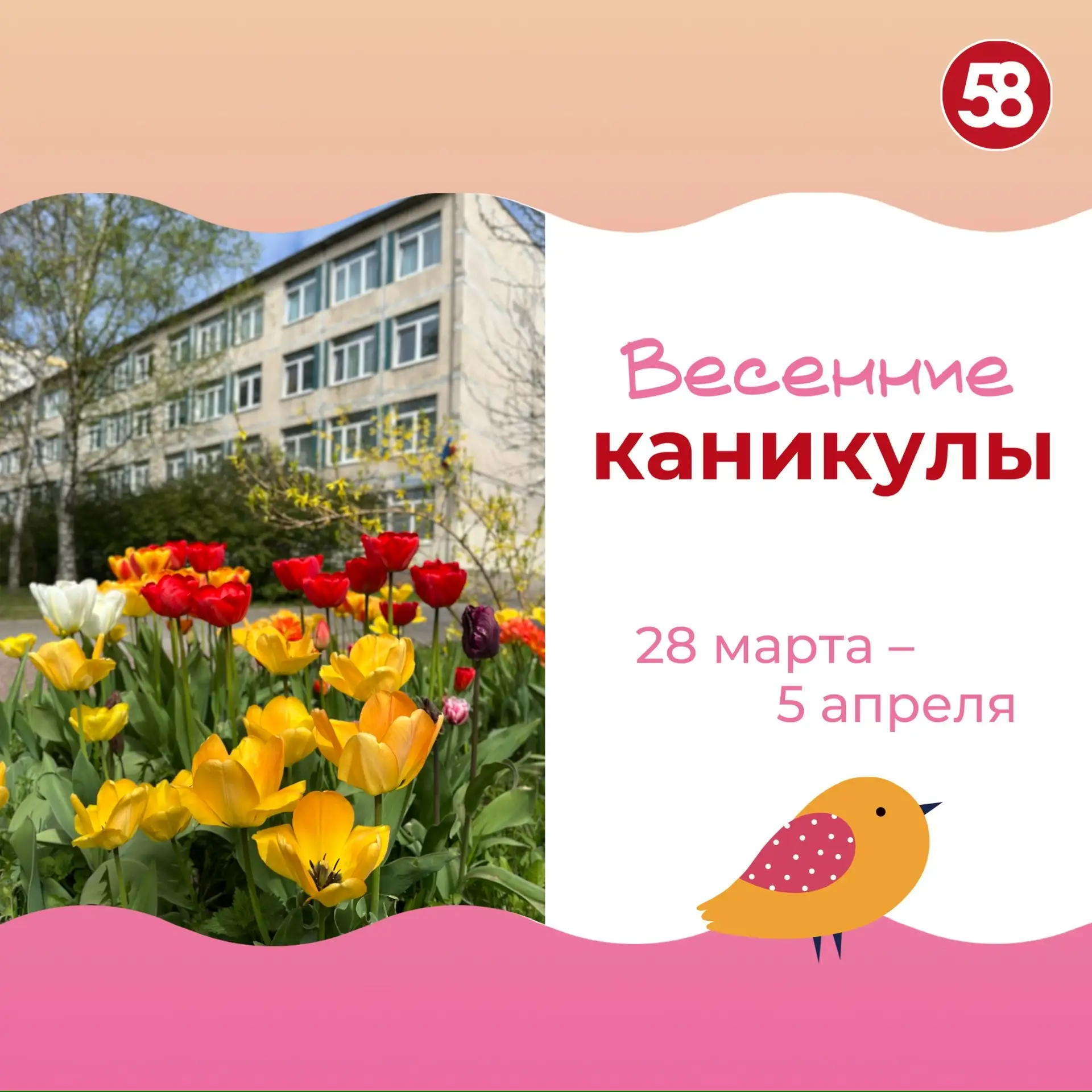 Весенние каникулы🌷