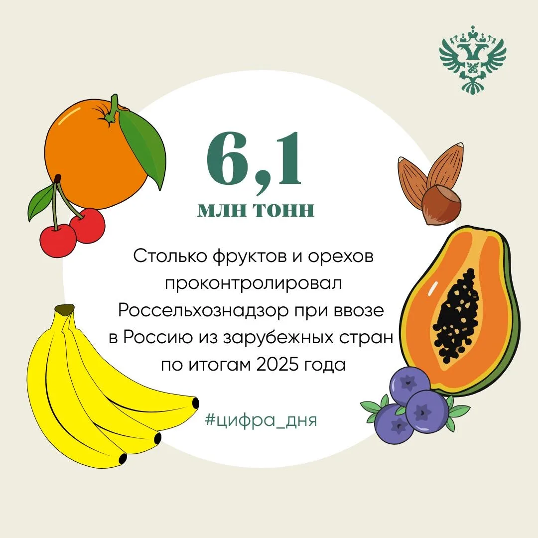 Так, по данным информационной системы «Аргус-Фито», в 2025 году цитрусовых было ввезено...