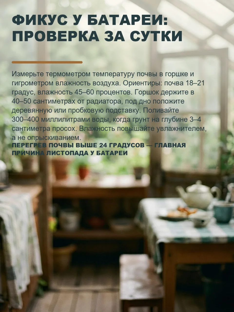 ФИКУС У БАТАРЕИ НЕ СПАСУТ ОПРЫСКИВАНИЯ, А СПАСЁТ ПРОСТАЯ ПРОВЕРКА ОДНИМ ПРИБОРОМ
