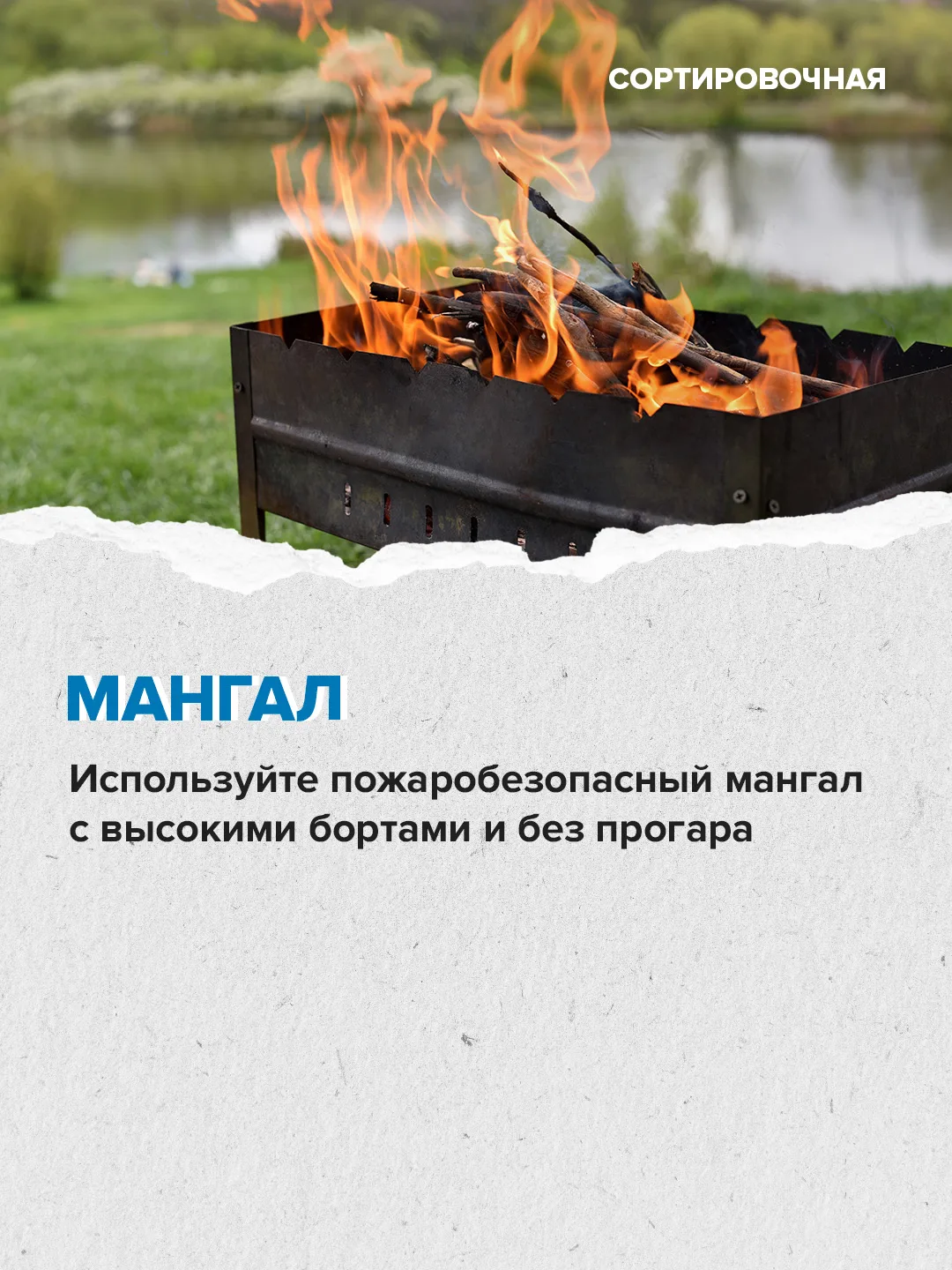 🍢 В пяти парках Москвы уже можно забронировать места для пикника  ⬆️ Как провести время на природных