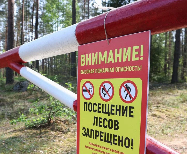 Важная информация для всех любителей природы, пикников, рыбалки и прогулок!
С 8 июня 2026 года в рег