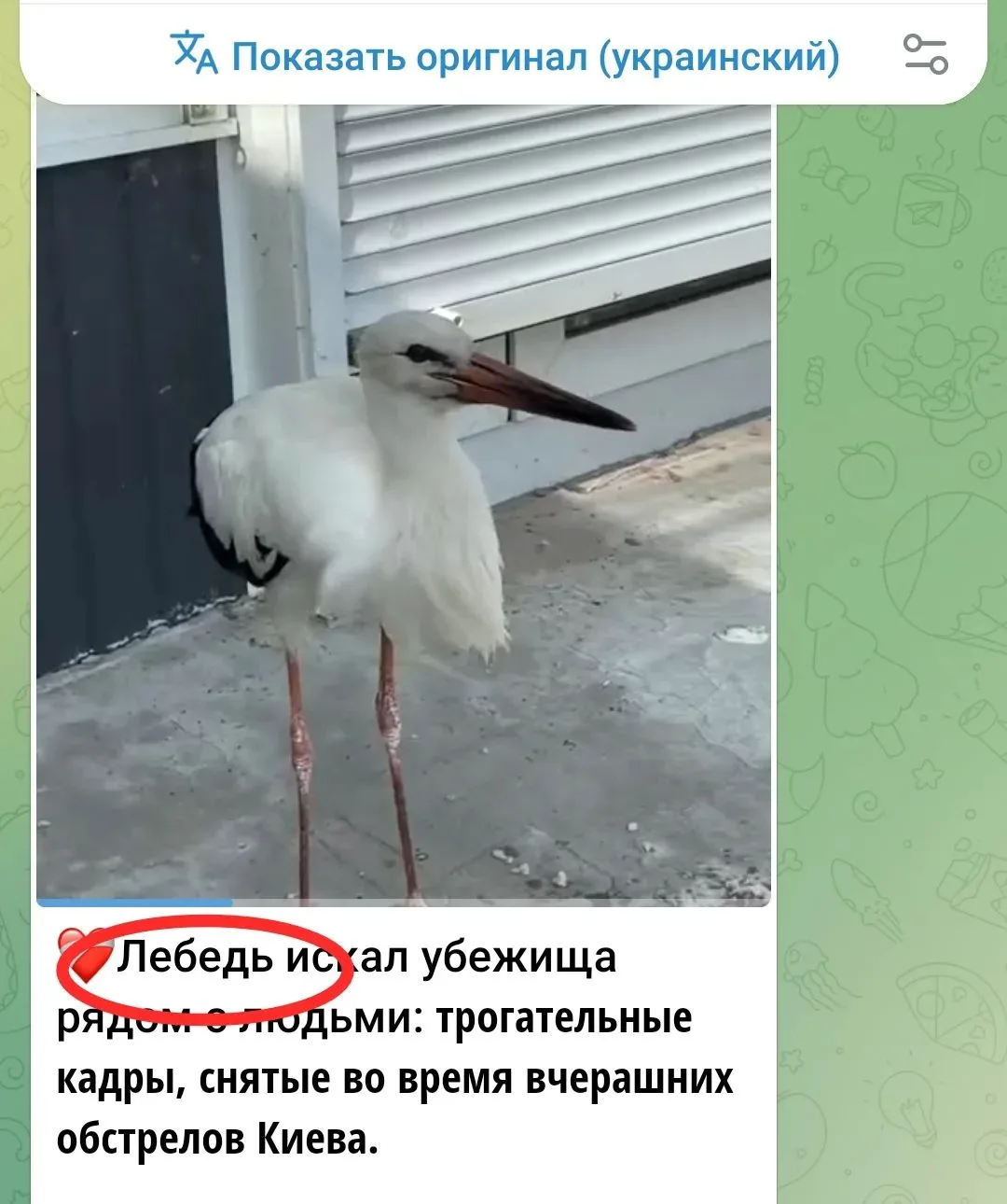 Они точно что-то курят 🙄