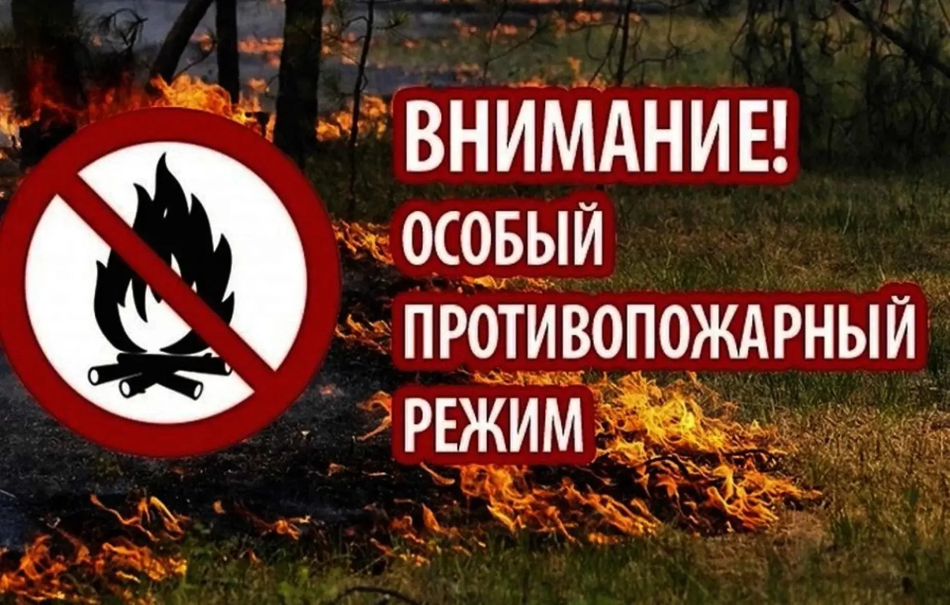 ✅В Нижегородской области введен особый противопожарный режим