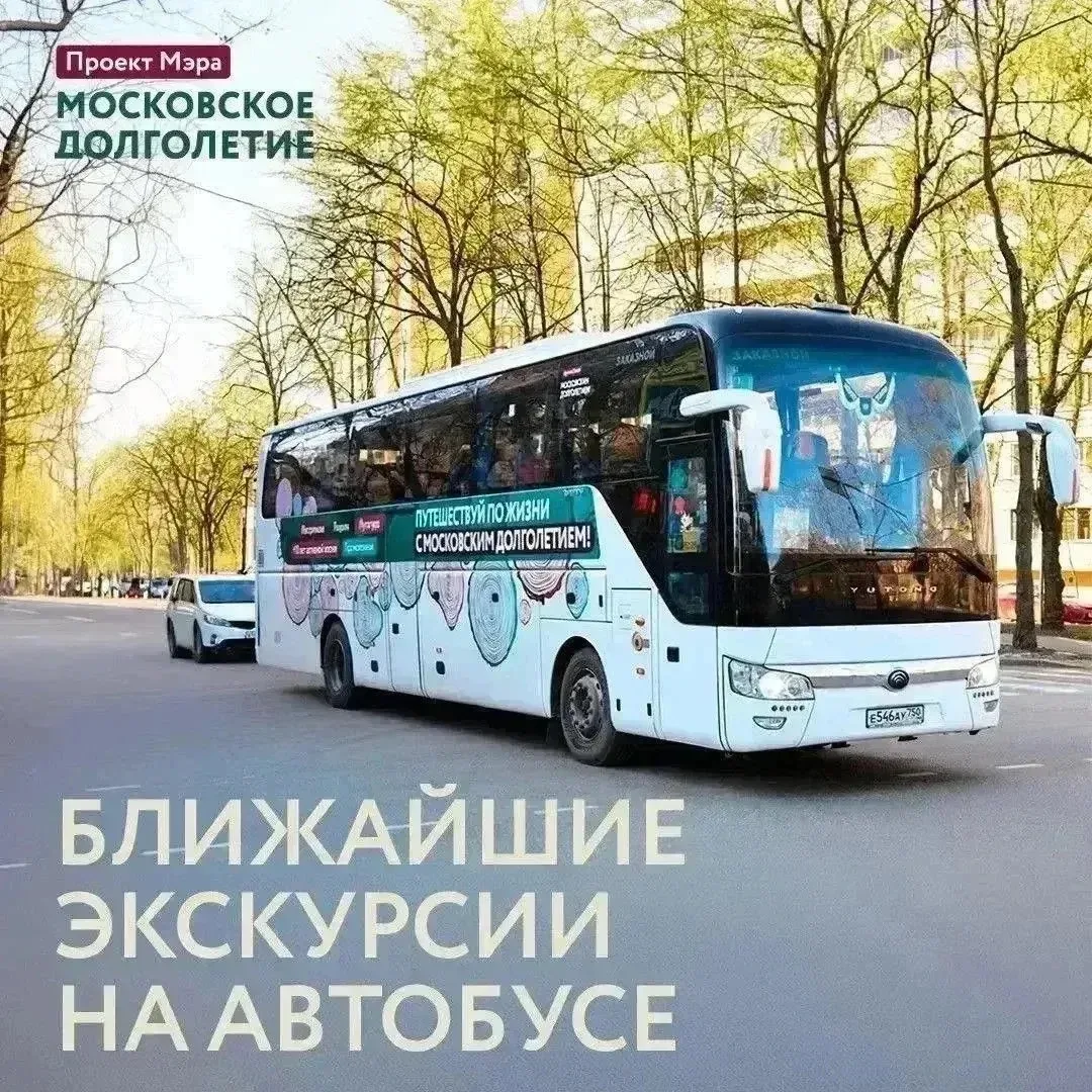 Время отправиться в путешествие! 

Дорогие участники, приглашаем вас присоединиться к экскурсиям про