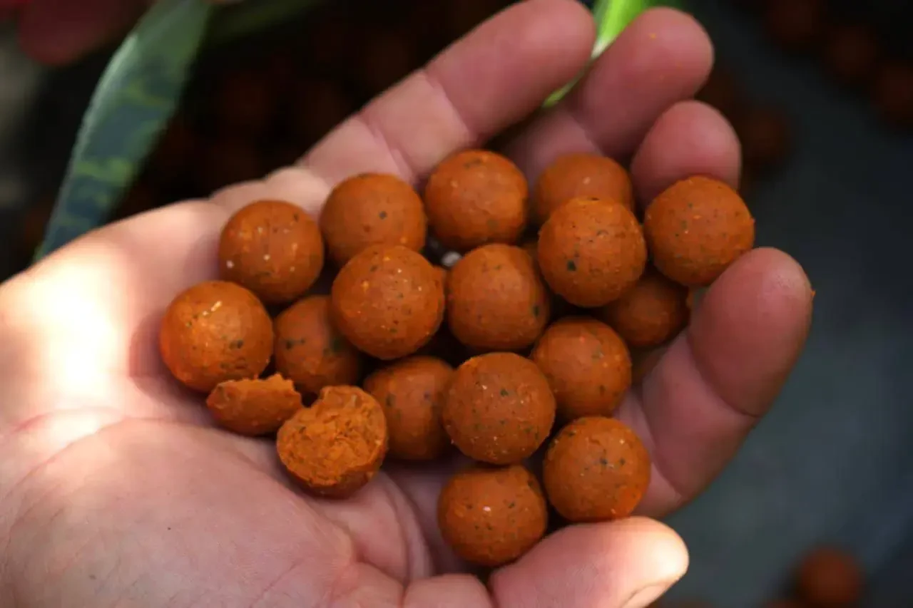 🎣 Всё о карповом питании, его использовании и крутых рецептах в Carptoday Baits!

О самых разных ка