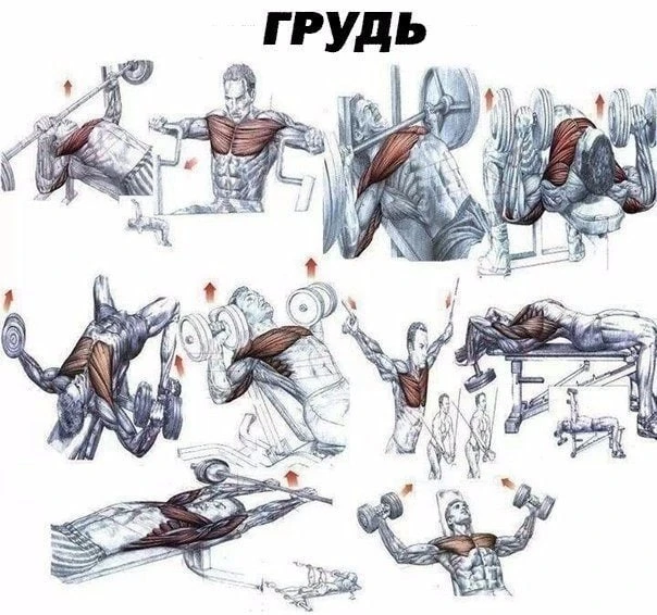 Тренировка вceгo тeлa