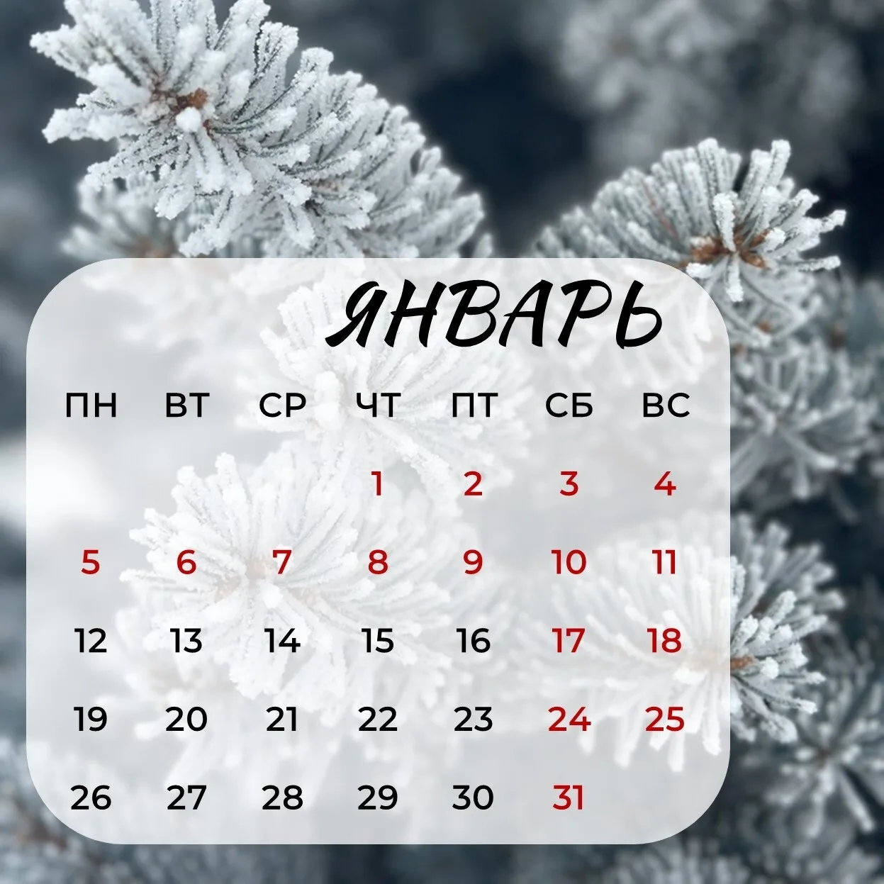 🎉  Дорогие друзья, пусть каждый день нового года принесет вам радость!

🎄 В начале месяца нас ждут