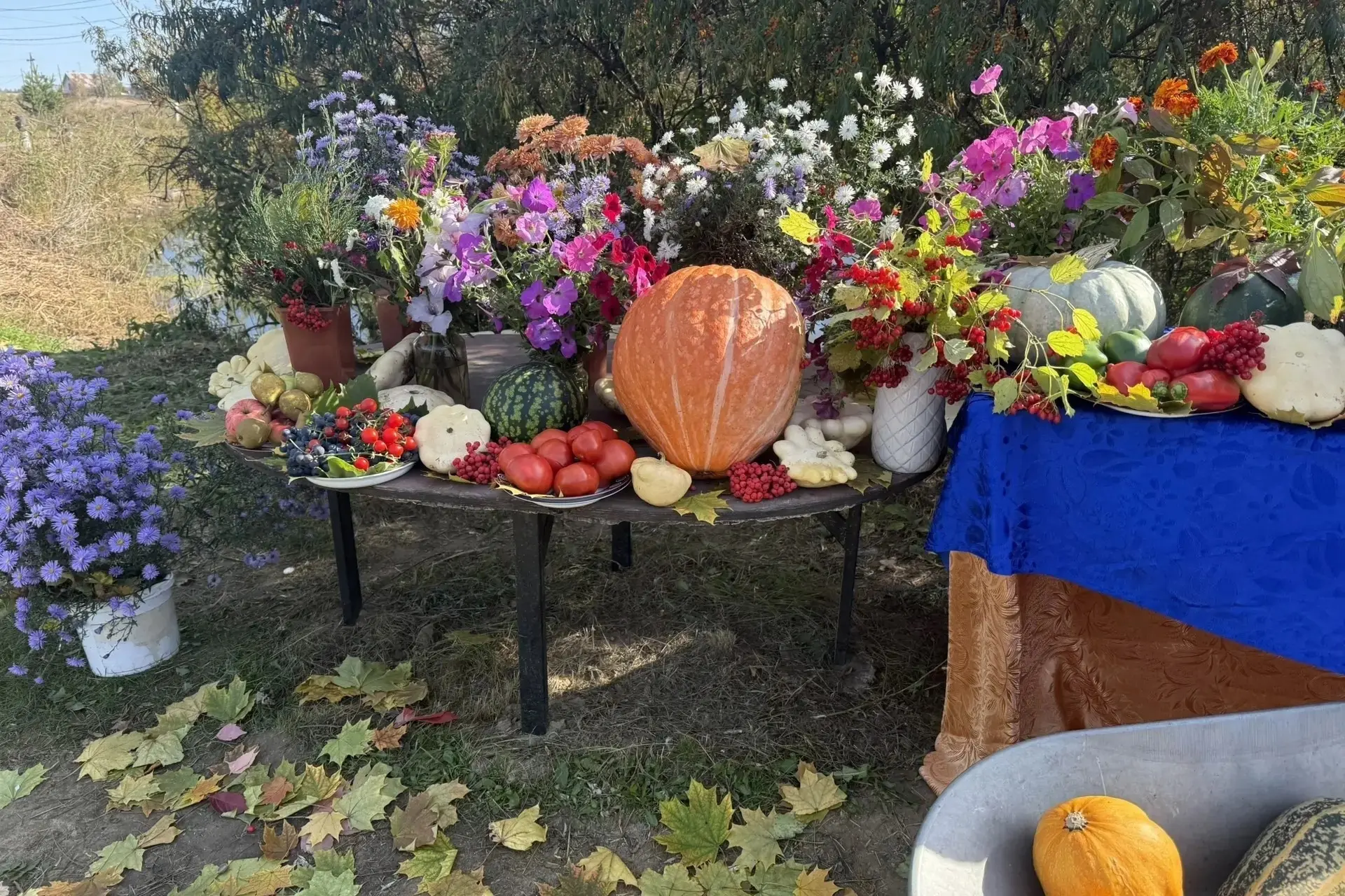 В ТОС «Шепотково» отметили День осени и День пожилого человека