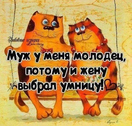 Список качественных каналов в МАХ | Подпишись!❤️