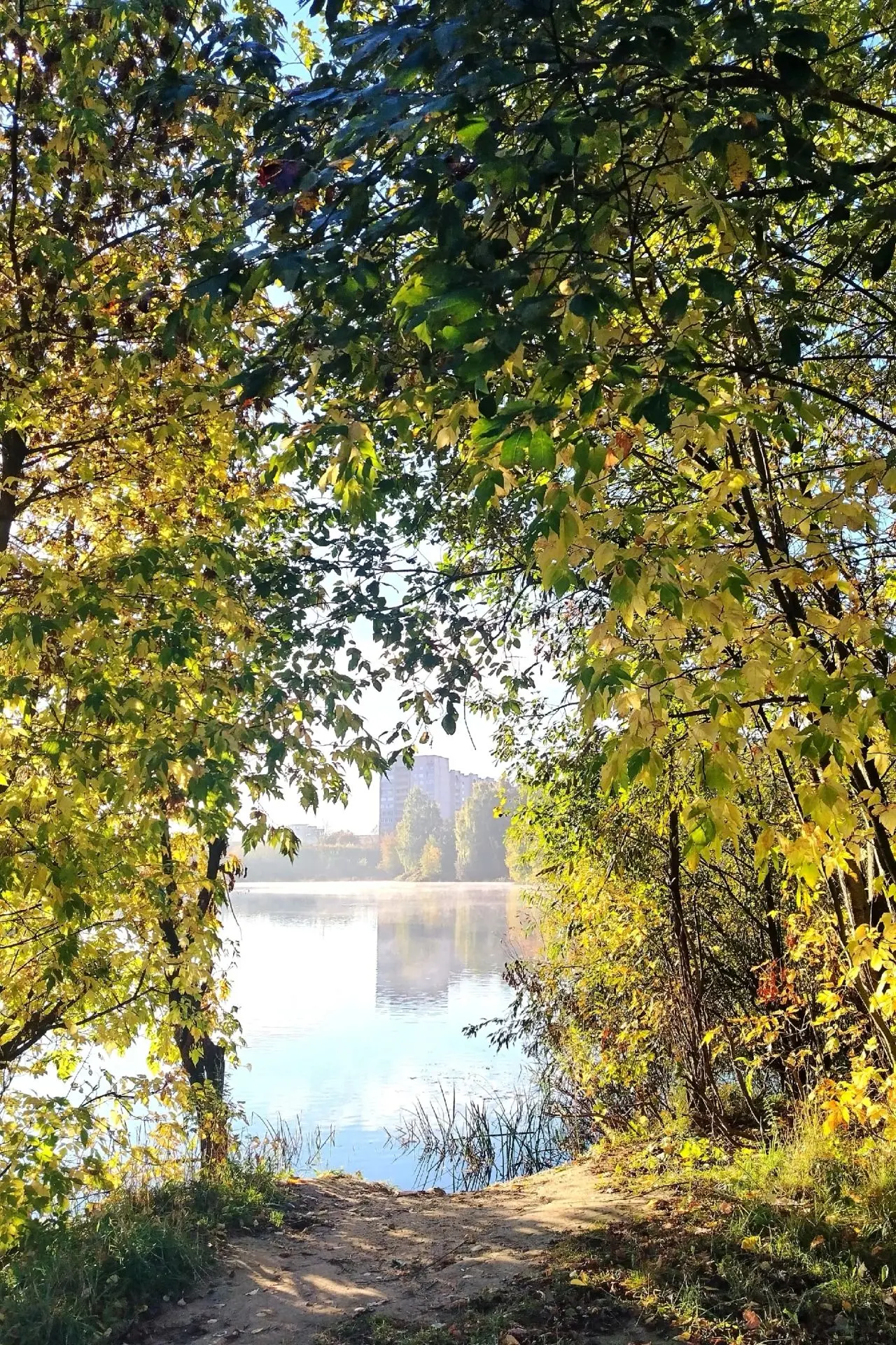 ОСЕННЕЕ УТРО ❤️