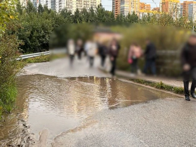 «Народная тропа» осталась без хозяина