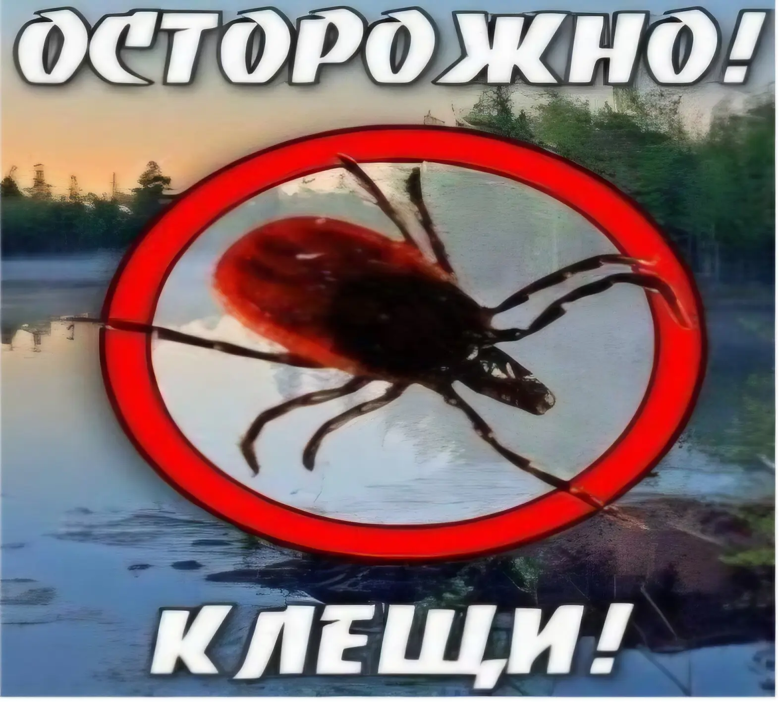 Осторожно! Клещи!