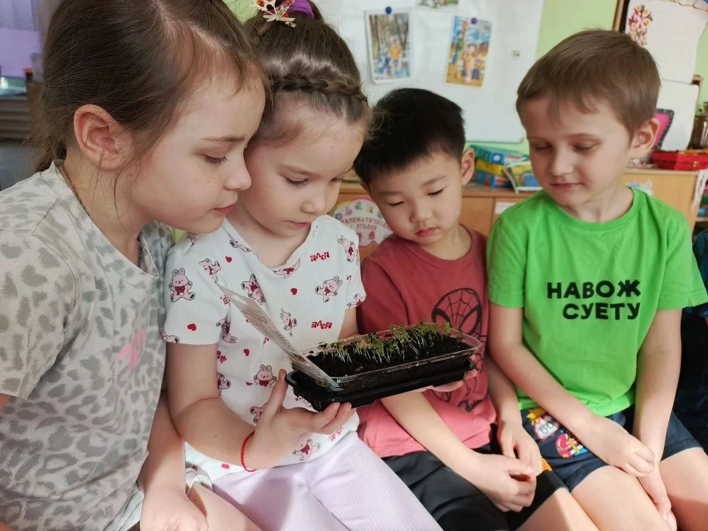 🌷В старшей группе √ 7 ребята ежедневно могут наблюдать настоящее чудо.