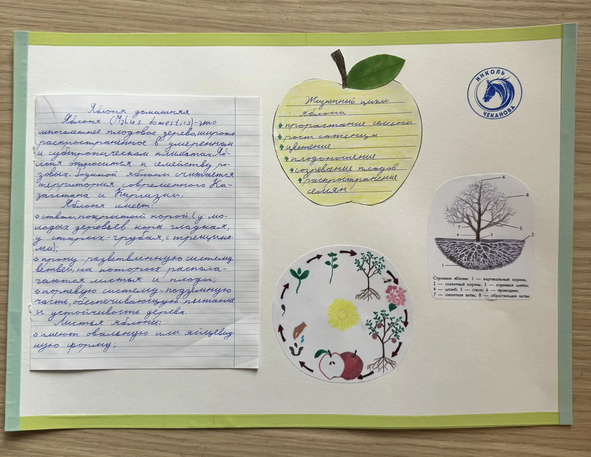 Недавно в школе у Николь было очень интересное домашнее задание по русскому языку и окр...