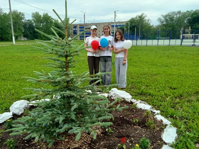 11.06.2026 г. на учебно-опытном участке МАОУ «СОШ № 29» городского округа г. Стерлитамак РБ отлично 
