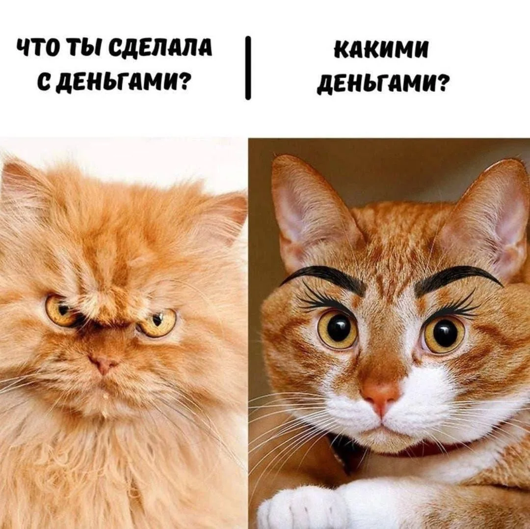 😂😂😂