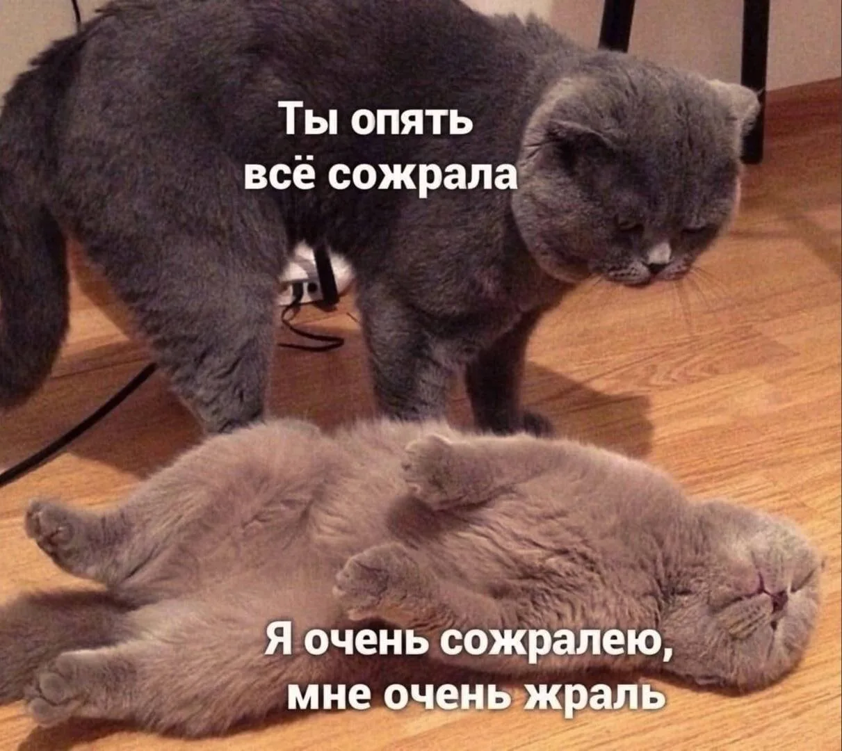 Юморима