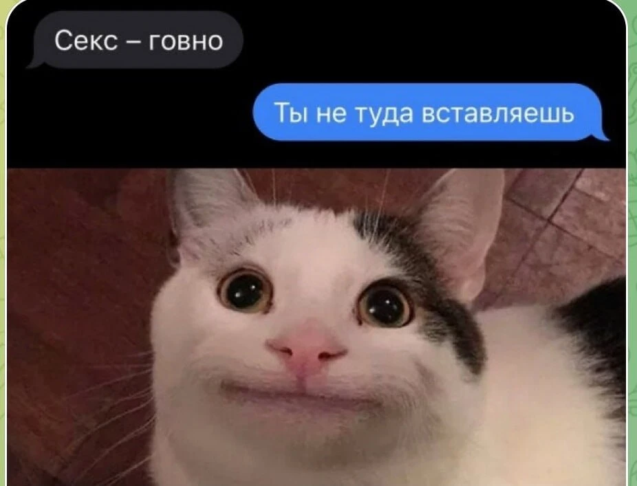 🔞 Каждый пятый зумер в возрасте от 18 до 29 лет никогда не занимался сексом