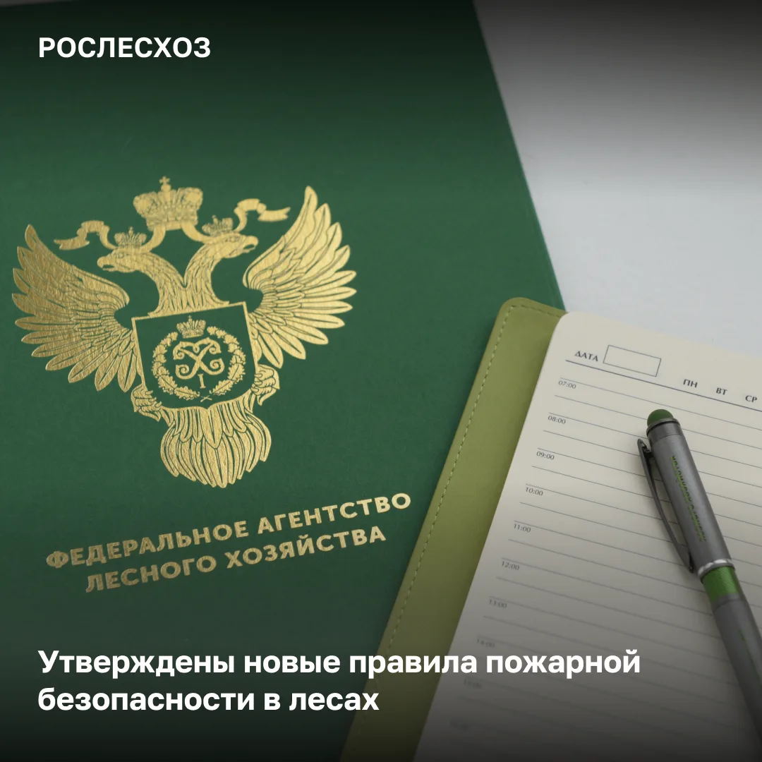 📌 С 1 сентября 2026 года вступают в силу новые Правила пожарной безопасности в лесах.