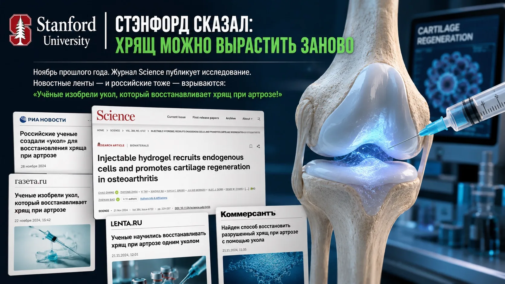 📢Стэнфорд сказал: хрящ можно вырастить заново