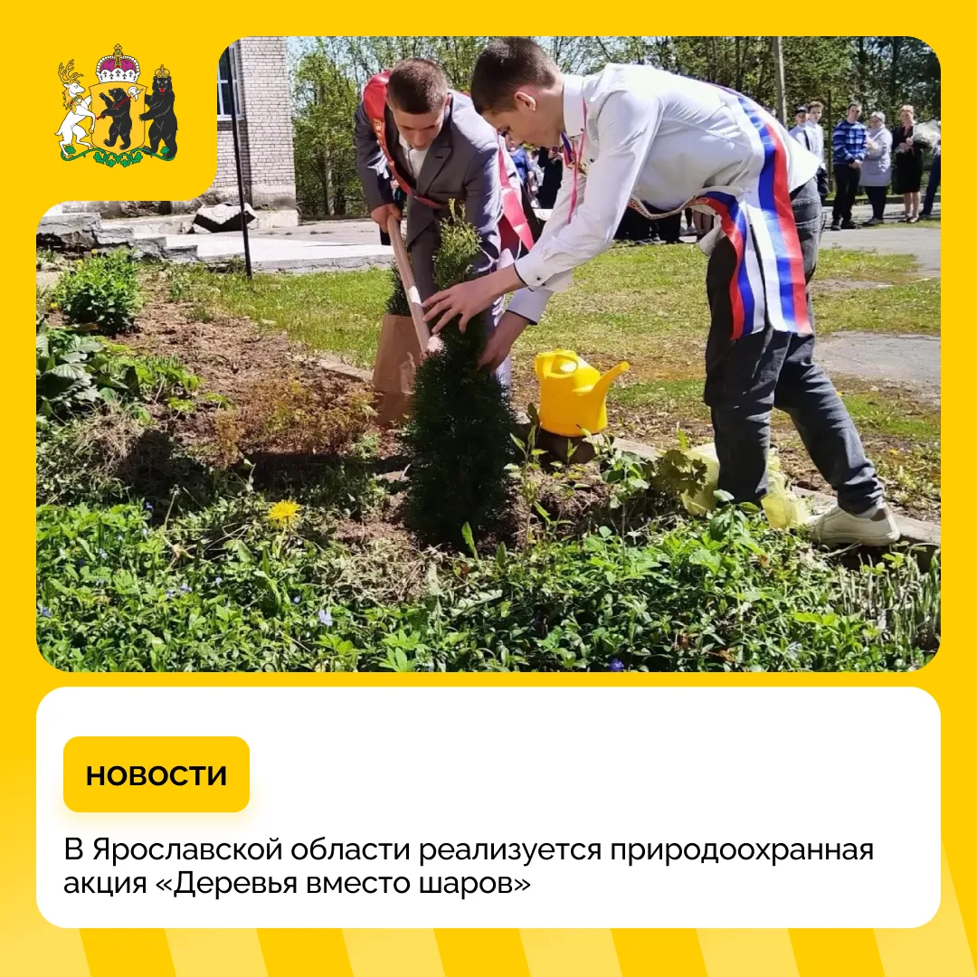 Выпускники детских садов региона изменили традицию с запуском шаров в небо

Теперь ребята высаживают