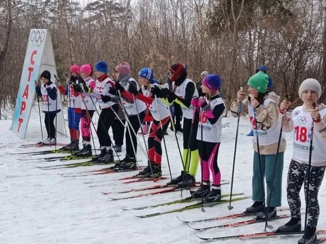 🏆 Спорт объединяет: череда турниров, посвящённых Году единства народов России, прошла ...