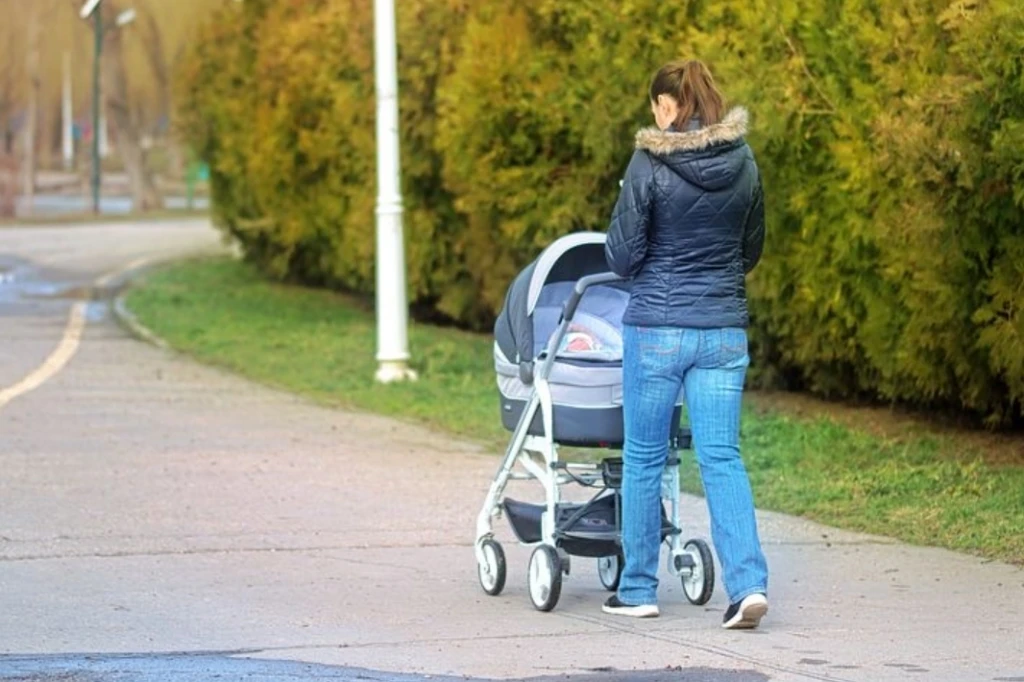 🌟 Студенткам вузов из Костромской области, которые стали мамами, предоставят выплату в...