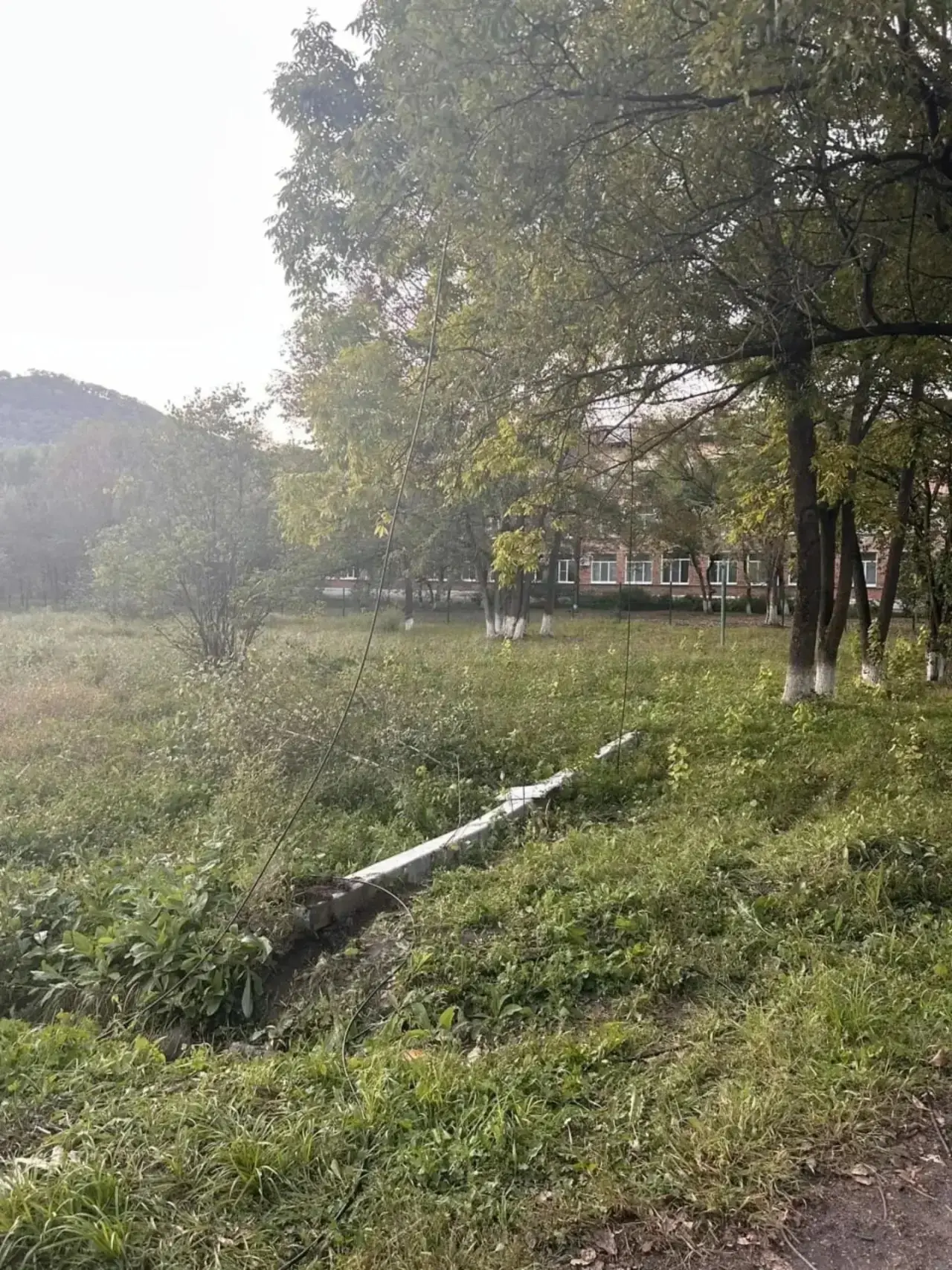 Таран задним ходом без водителя: много впечатлений получили пассажиры от поездки в авто...