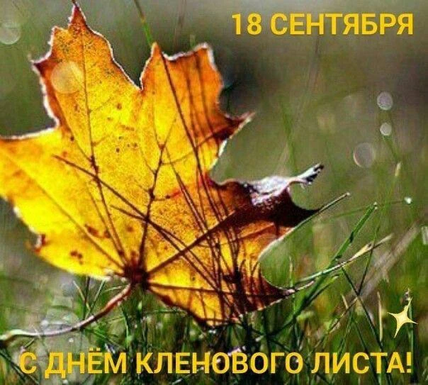 Женские открытки💝