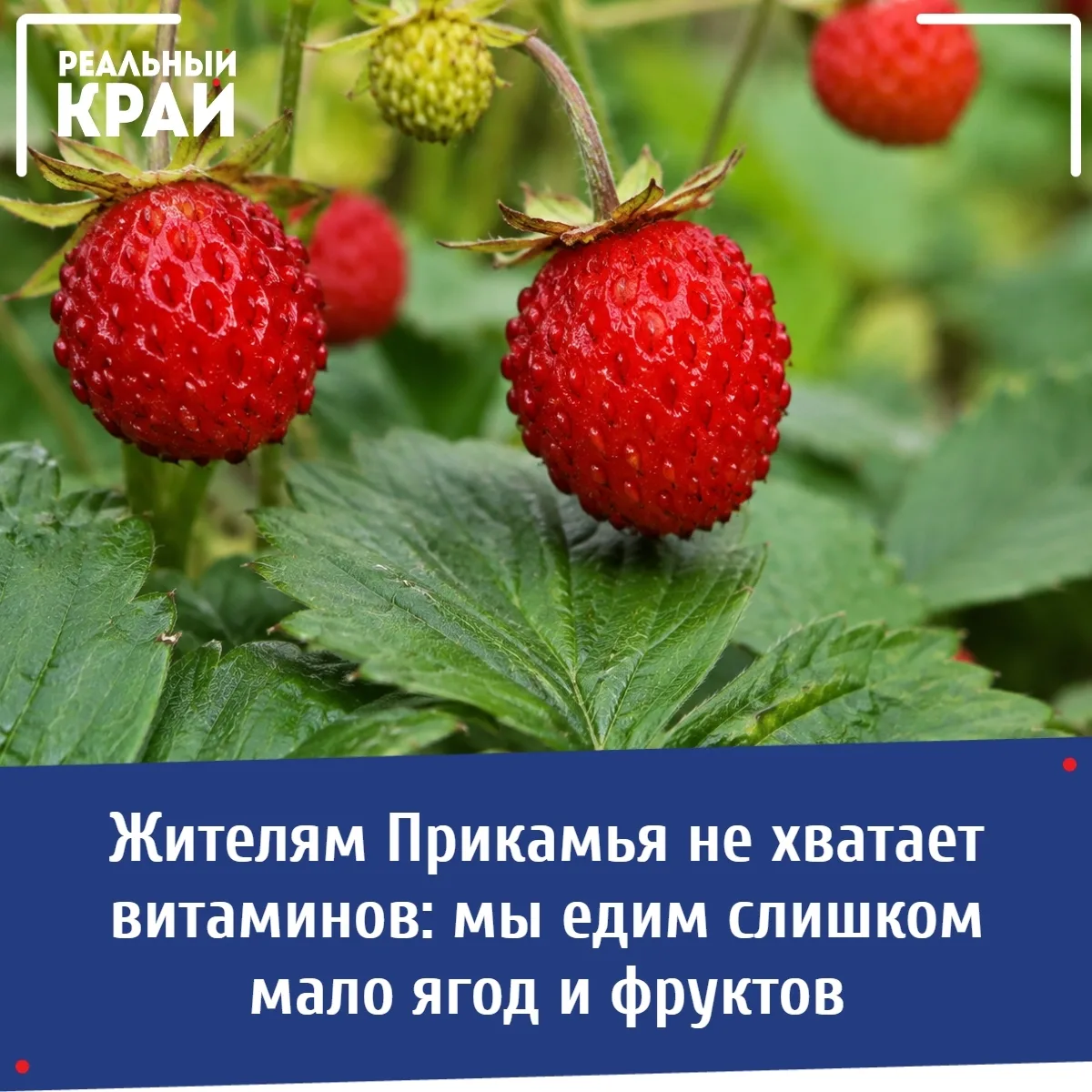 🍎 Жителям Прикамья не хватает витаминов: мы едим слишком мало ягод и фруктов