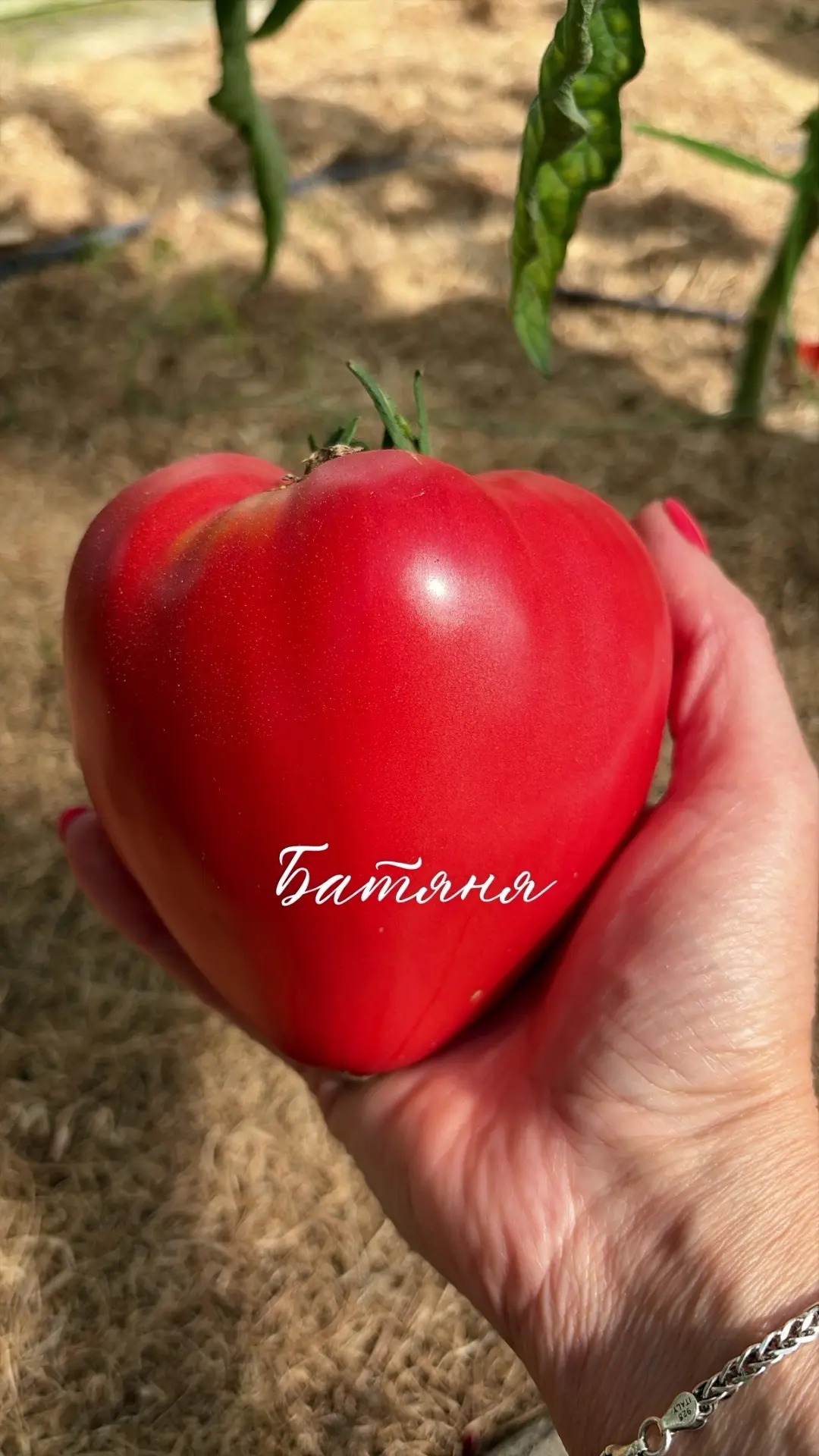 Вкуснятина 🍅👨‍🍳