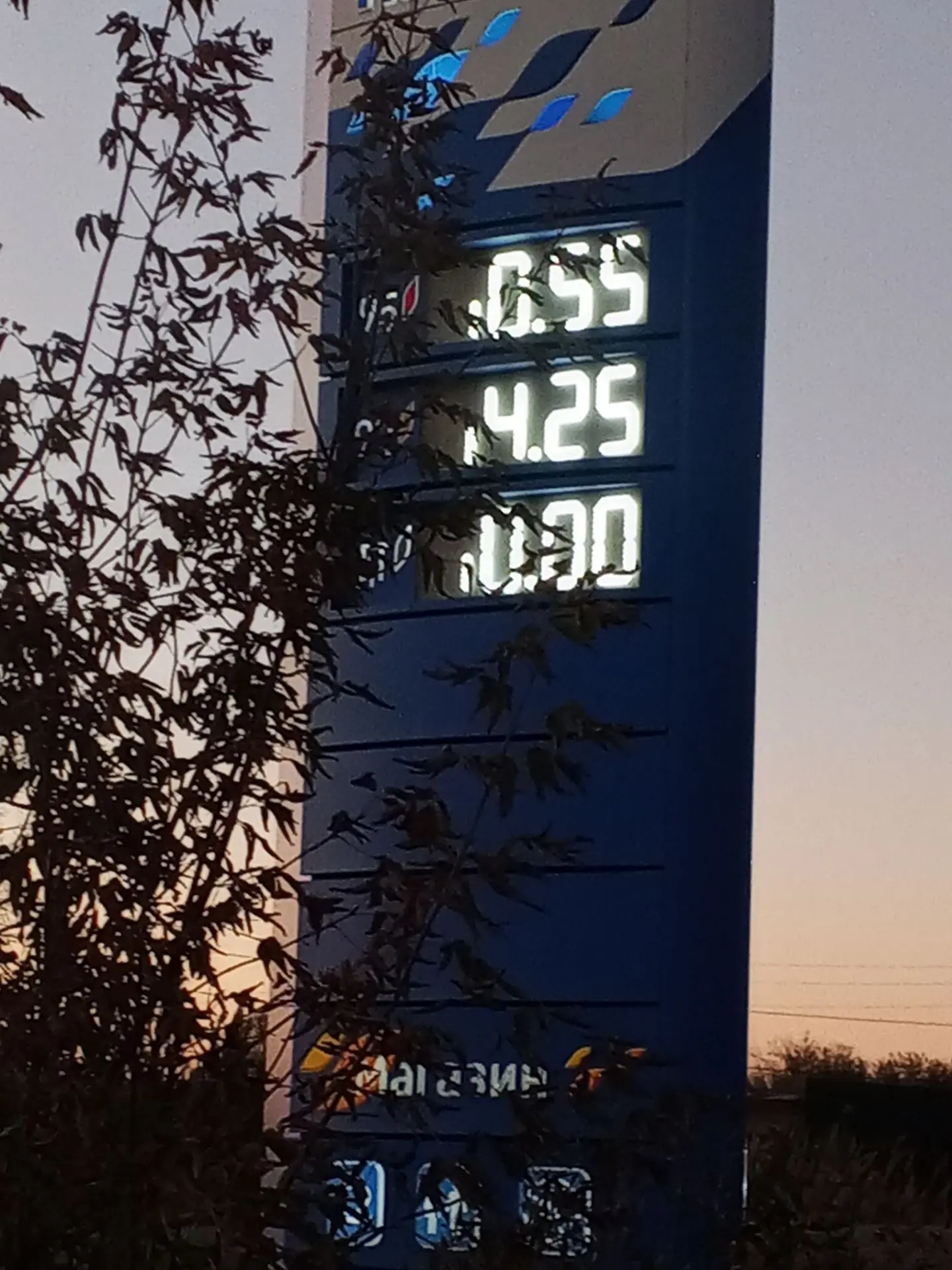 Мотмос Газпром
