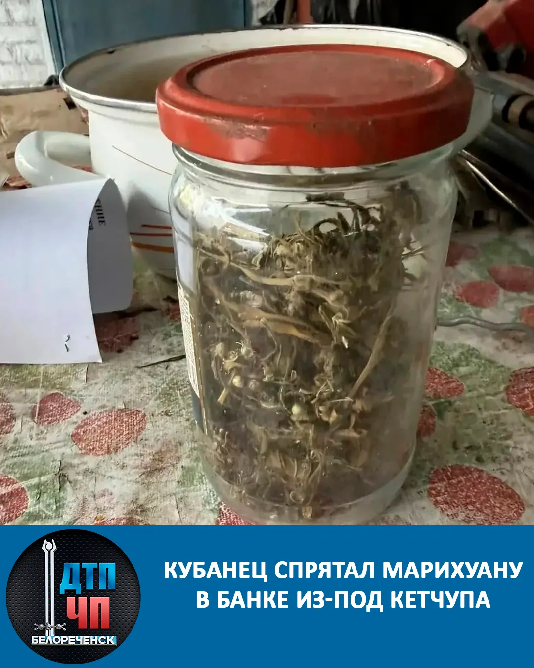 Кубанец спрятал марихуану в банке из-под кетчупа  30-летний житель Курганинска нашел дикорастущие ку
