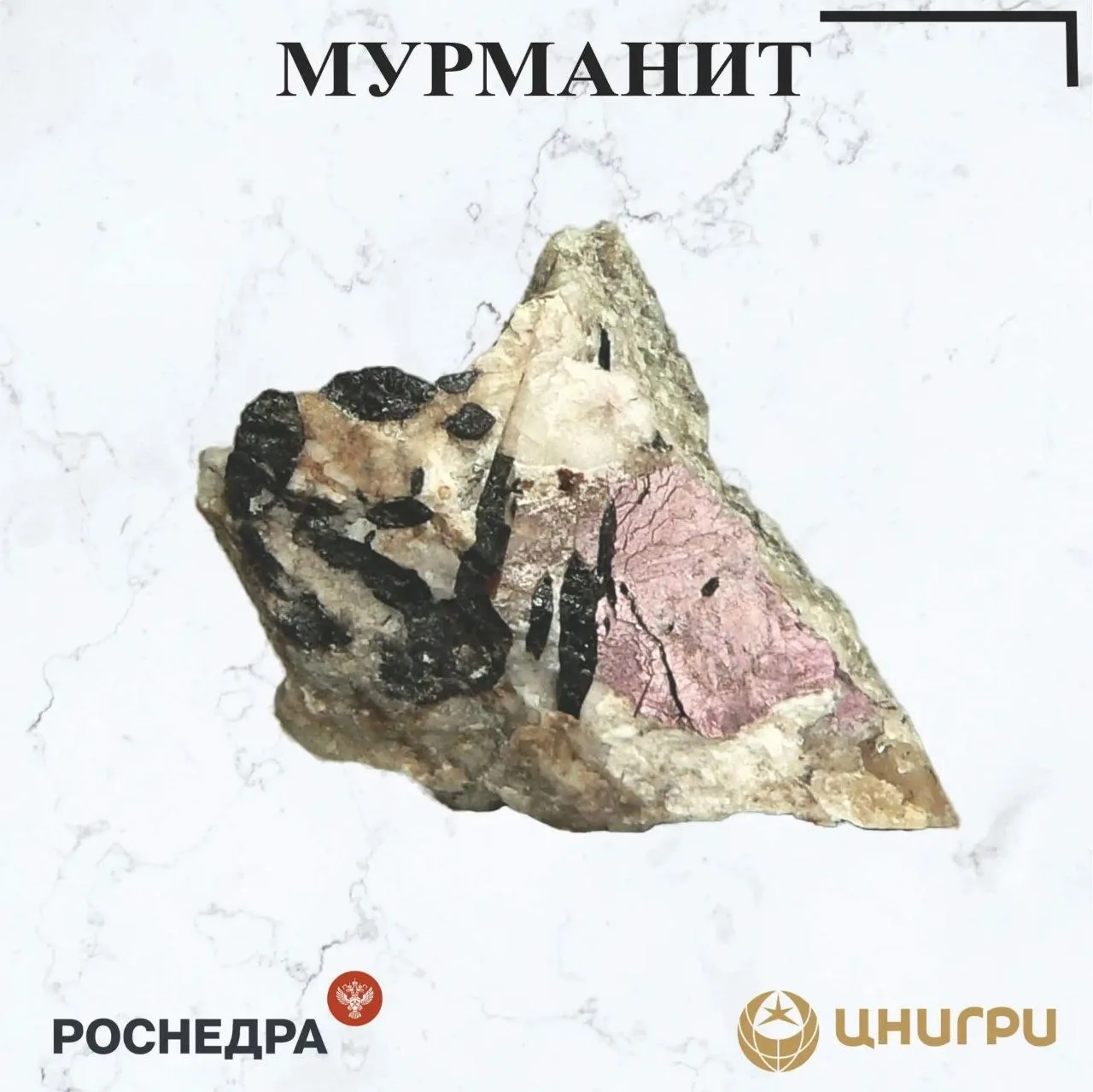 В эту среду ЦНИГРИ ⁉️