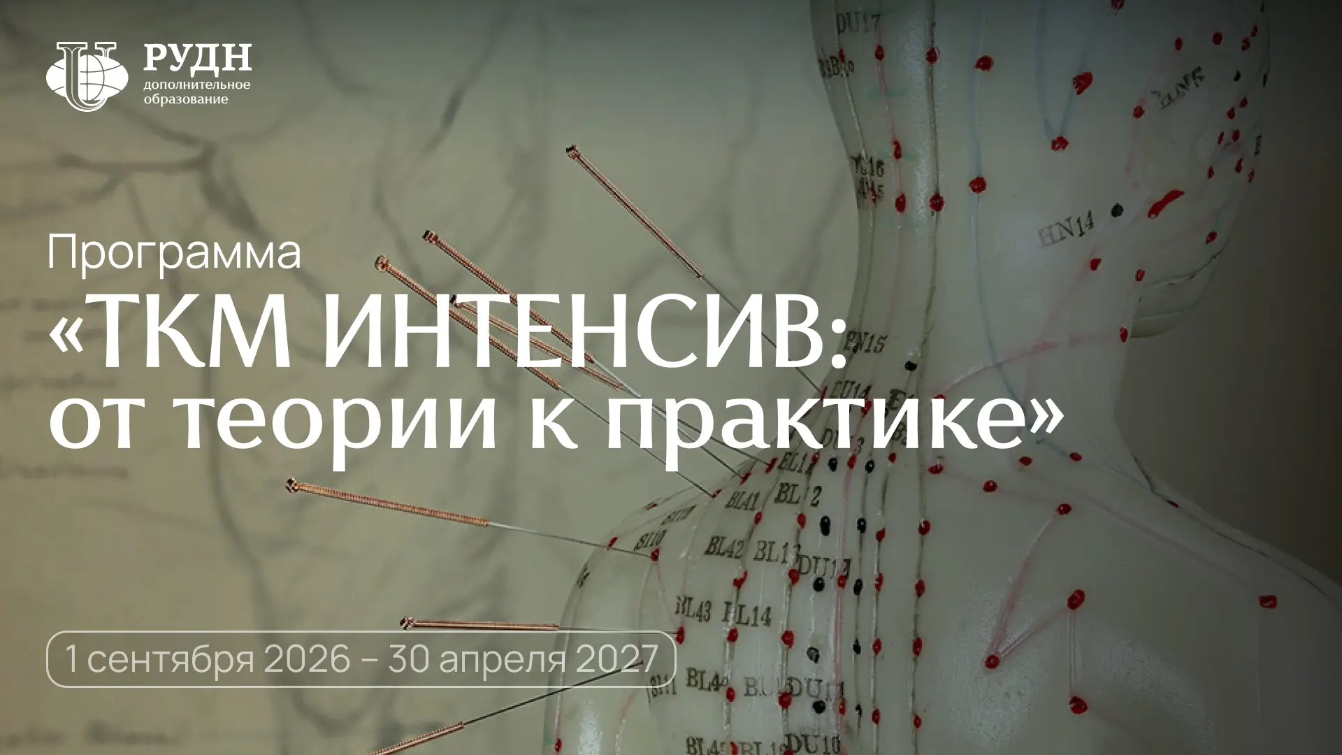 Единственный в России интенсив по традиционной китайской медицине от профессора У Цзихуа