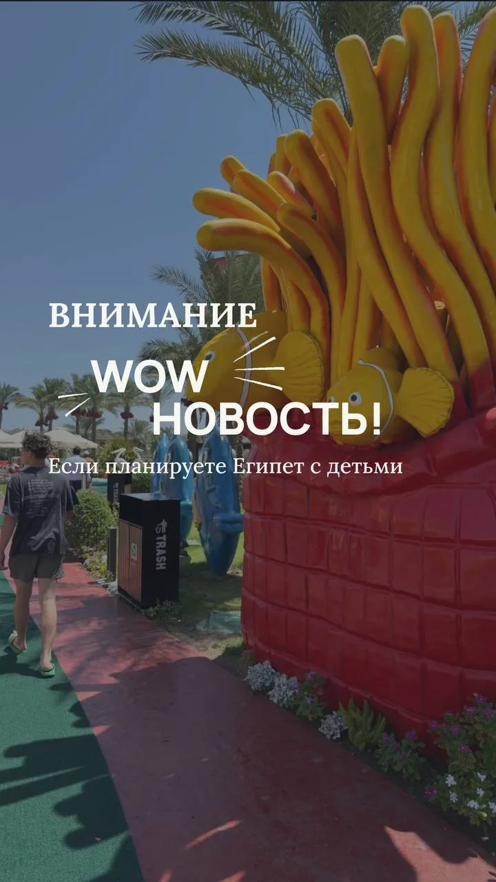 🤩 В ШАРМЕ ПОЯВИЛОСЬ НОВОЕ РАЗВЛЕЧЕНИЕ ДЛЯ ДЕТЕЙ