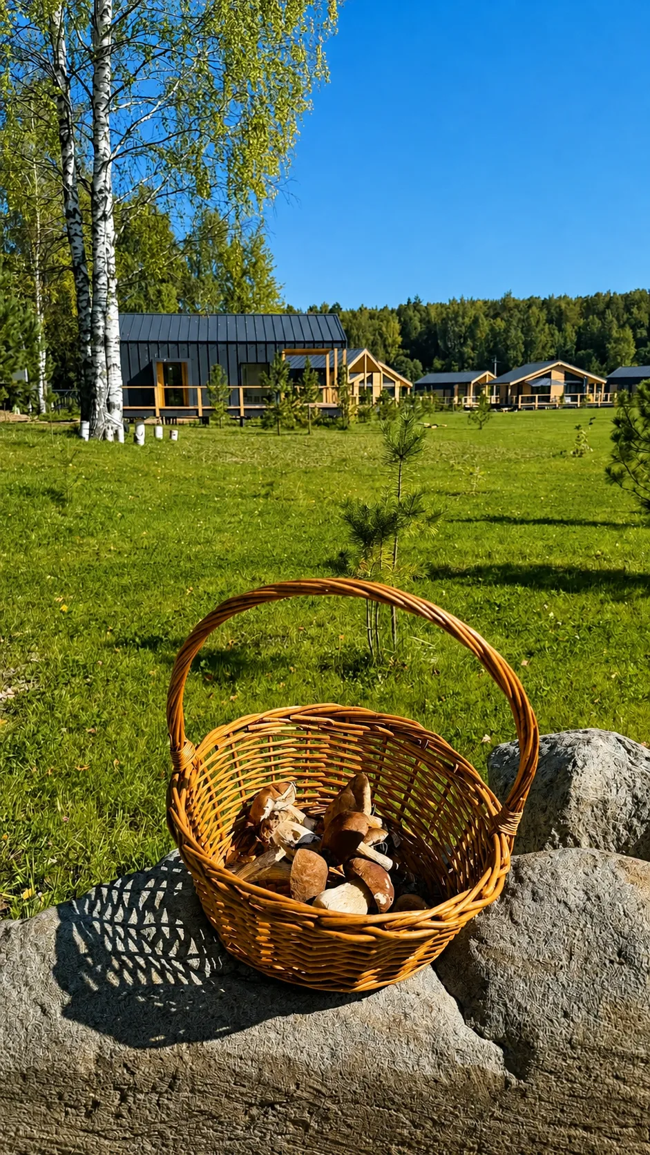 А у нас рыба ловится и грибы водятся! ☺️