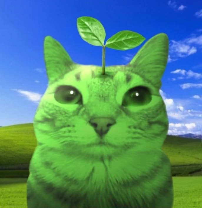 Аватарки в зеленой эстетике💚