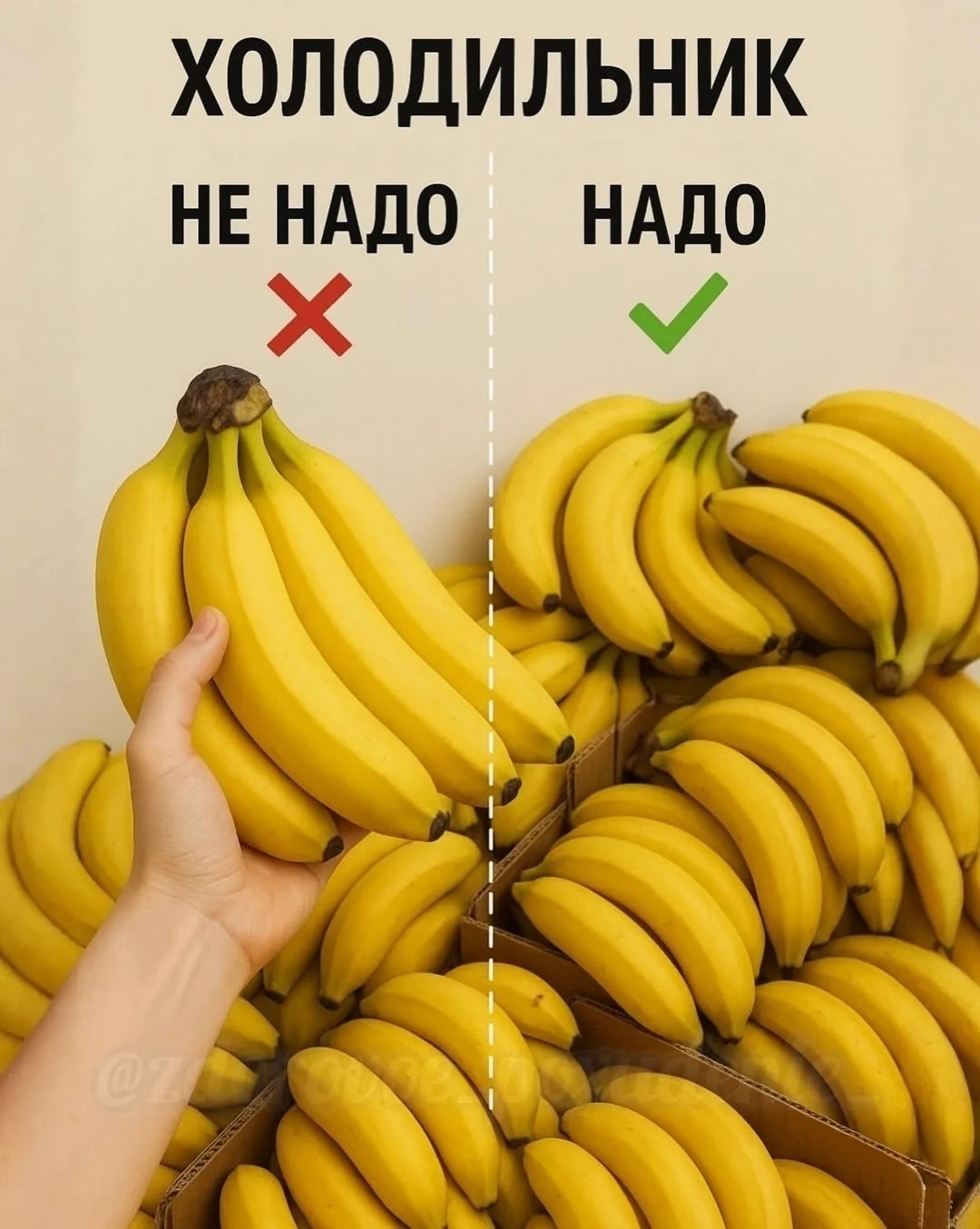 ΧОЛОДИЛЬΗИΚ: чтo нe нaдo клacть, a чтo нaдo — и пoчeму 🧊